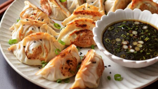 FRIED POT-STICKERS